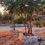 λαγκάδι μάνης Apartment *